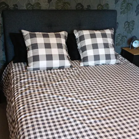 Les Figuiers Bleus *