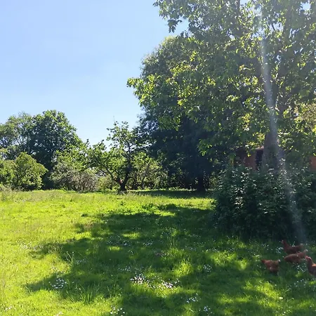 Bed and Breakfast Les Figuiers Bleus