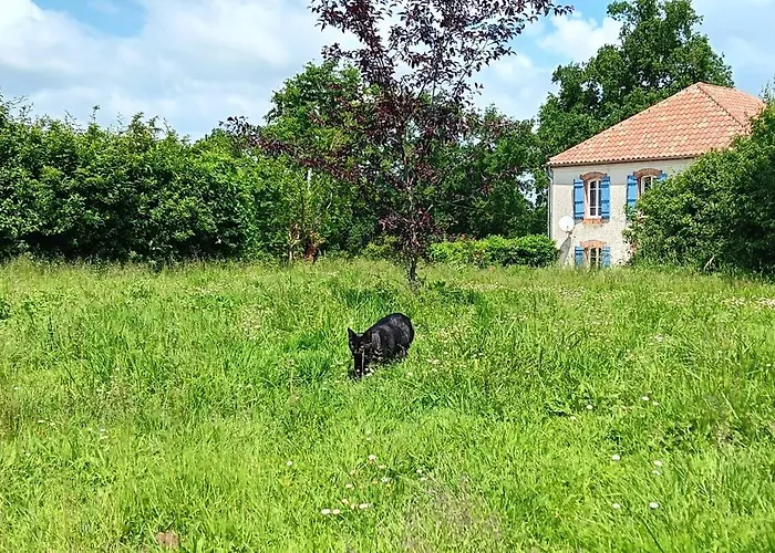 Les Figuiers Bleus *