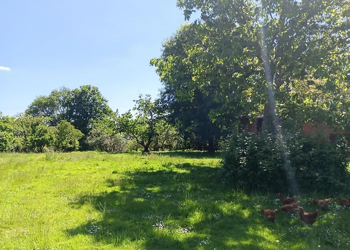 Bed and Breakfast Les Figuiers Bleus