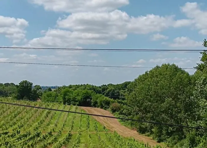 Les Figuiers Bleus Bed and Breakfast *