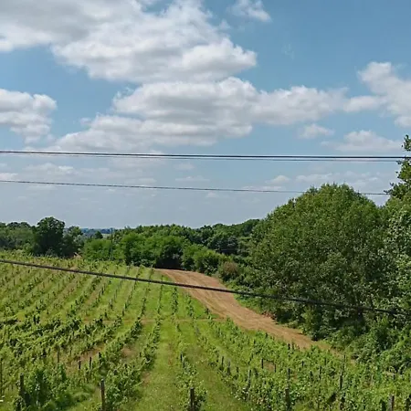 Les Figuiers Bleus Oda ve Kahvaltı *