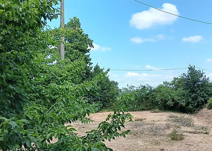 Les Figuiers Bleus Cravenceres